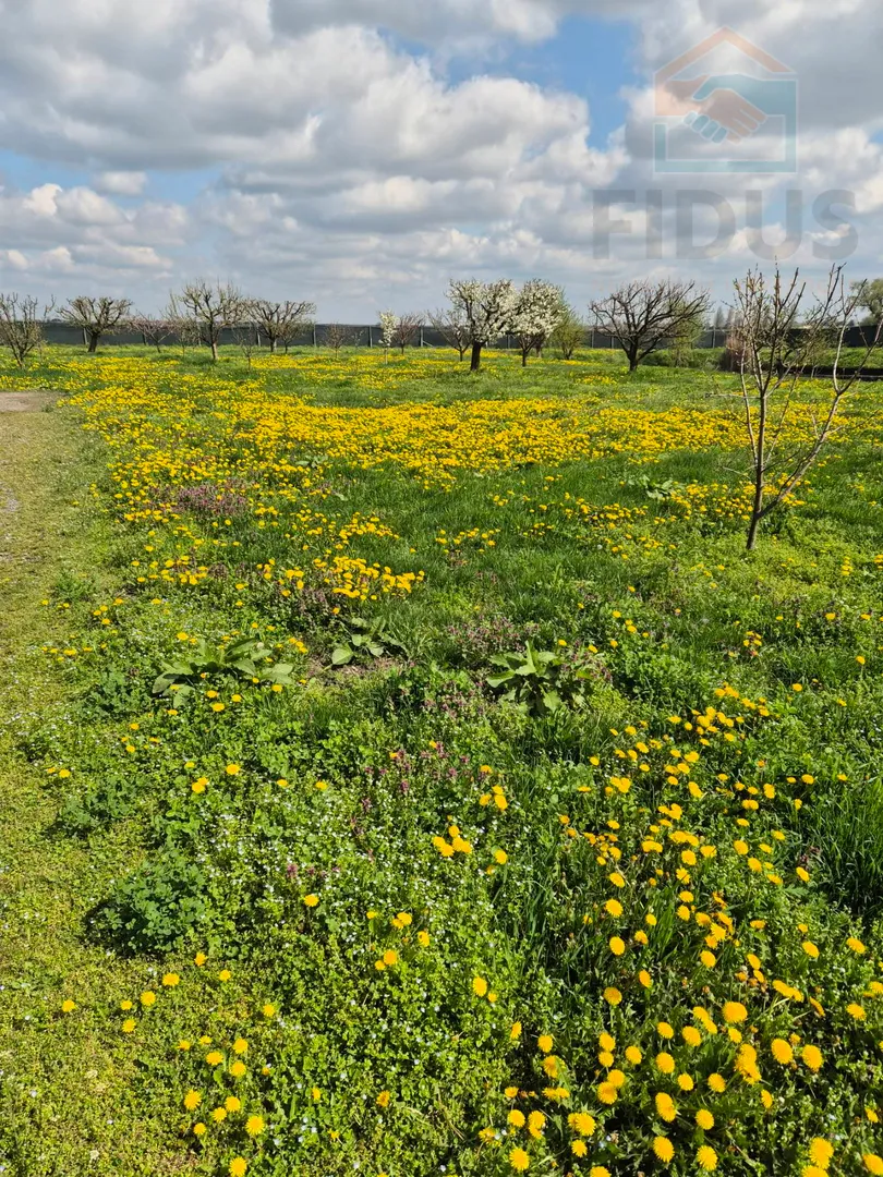 gospodarska zgrada za poljoprivrednu/turističku namjenu - darda - slika 22
