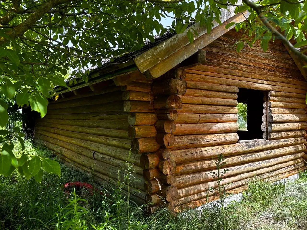 nasad oraha s brvnarom - ivanovac - slika 9