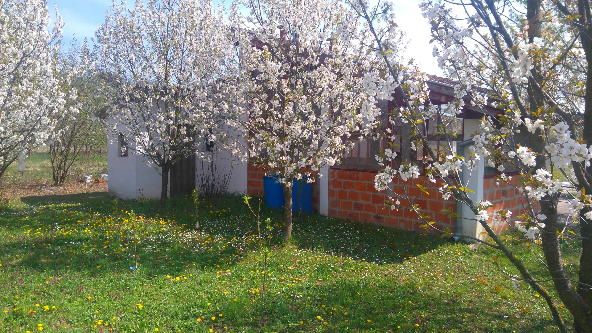 kuća za odmor s voćnjakom - slika 8