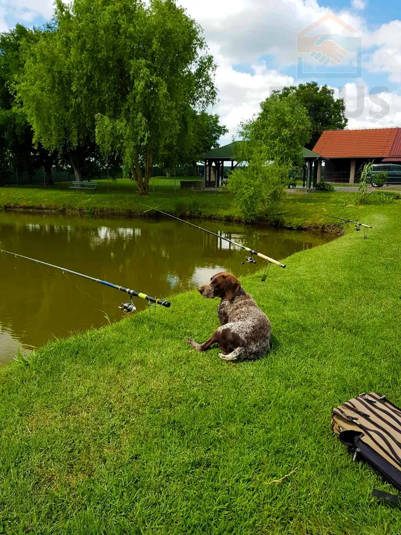 gospodarska zgrada za poljoprivrednu/turističku namjenu - darda - slika 15