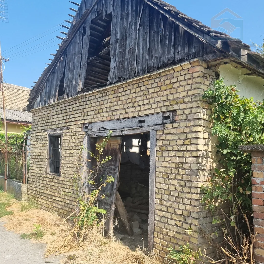 Gator - Zmajevac - Zmajevac, Kneževi Vinogradi