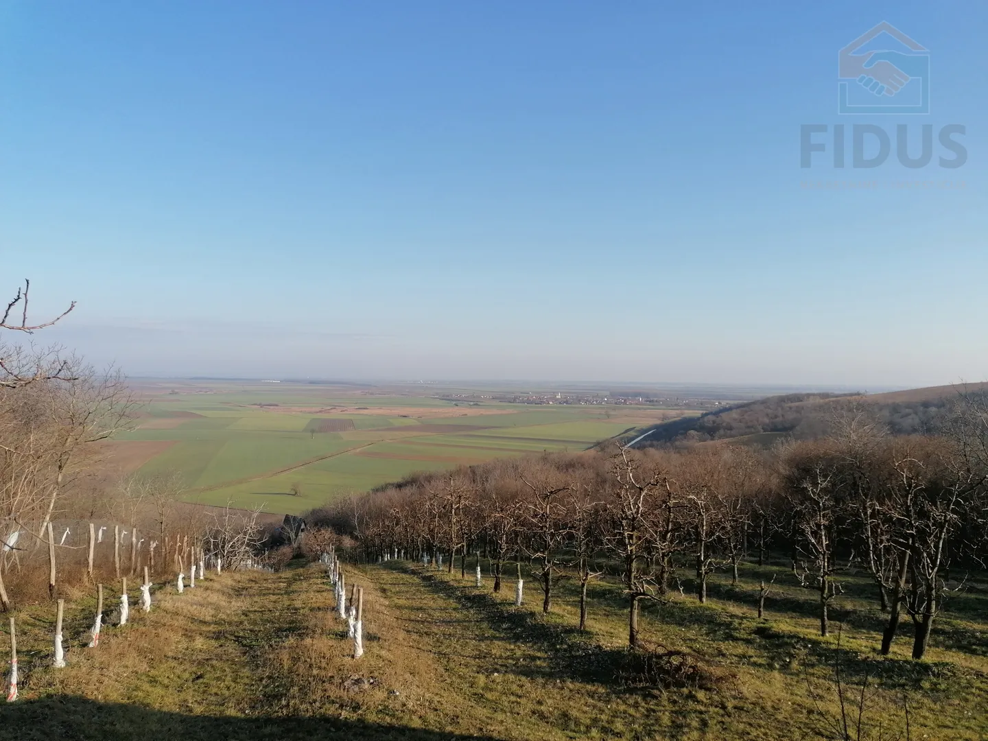 obiteljsko imanje - popovac/baranja - slika 16