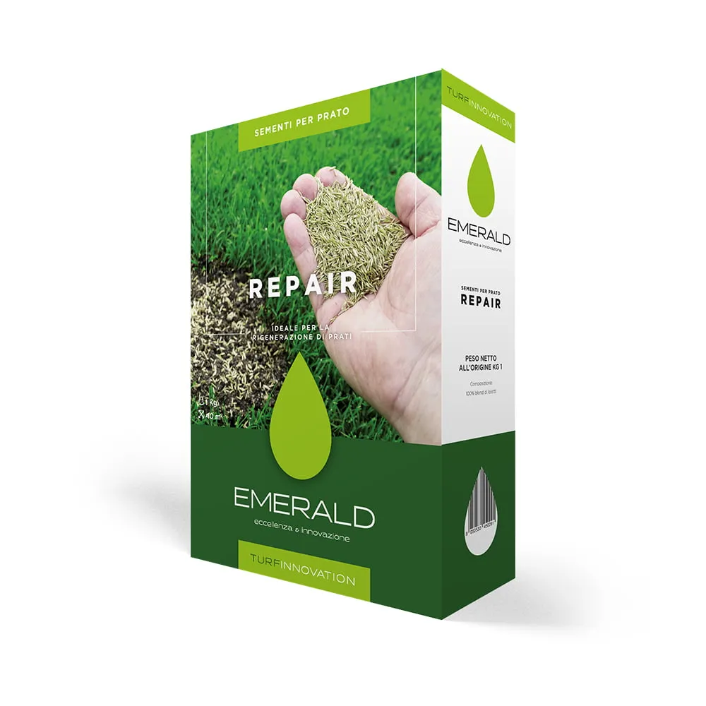 Emerald Repair - Bužinija, Novigrad
