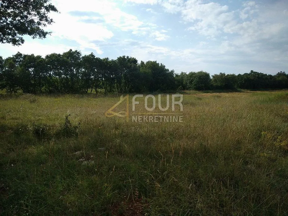 istra, svetvinčenat, poljoprivredno zemljište 3.820m2 - slika 11