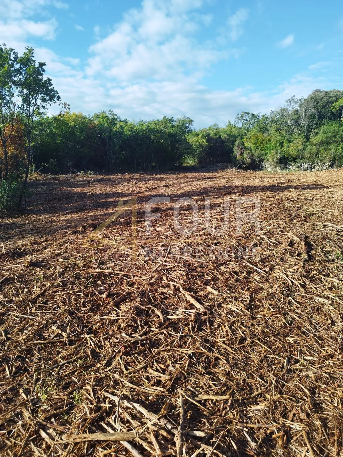 istra, krnica, poljoprivredno zemljište 4.192m2 - slika 2