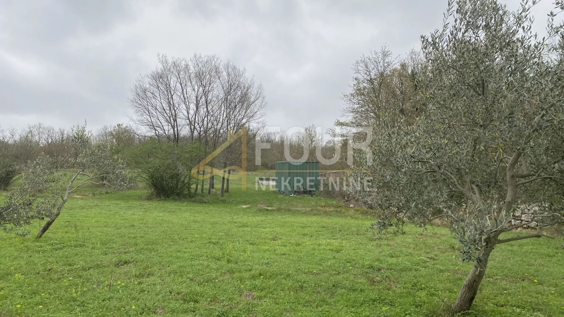 istra, kanfanar, poljoprivredno zemljište, 13.301m2 - slika 5