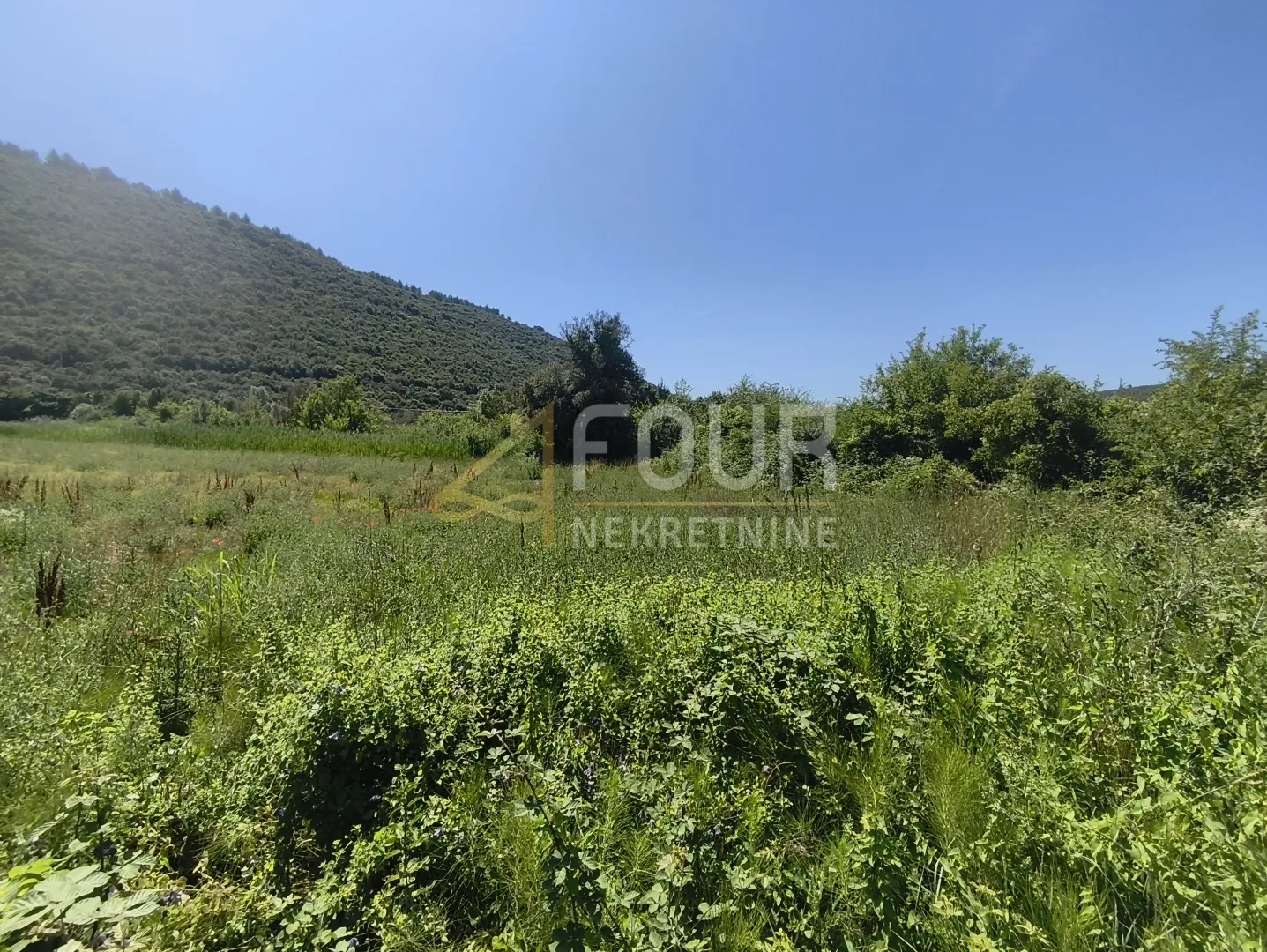 istra, valtura, poljoprivredno zemljište 14500m2 - slika 3