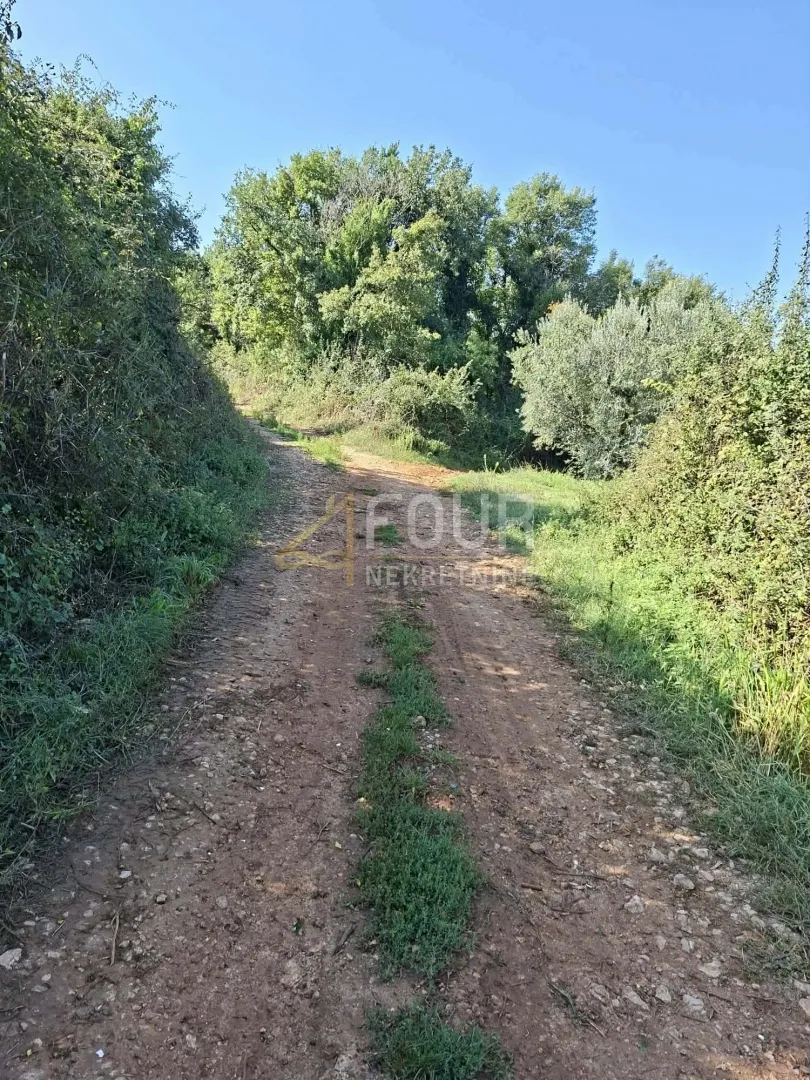 istra, valtura, poljoprivredno zemljište 3.376m2 - slika 5