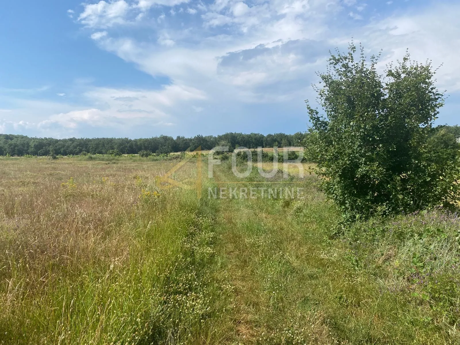 Istra, Baderna, poljoprivredno zemljište 53.691m2 - Baderna, Poreč