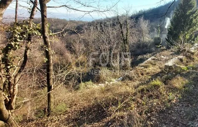 matulji, imanje s pogledom na more, kuća i 2 pomoćna objekta na zemljištu od 12.974m2 - slika 5