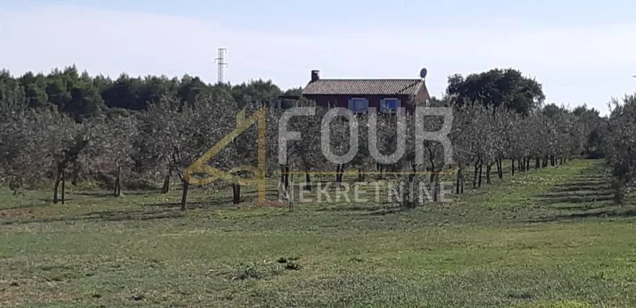 istra, medulin, poljoprivredno zemljište 9.327m2 - slika 2