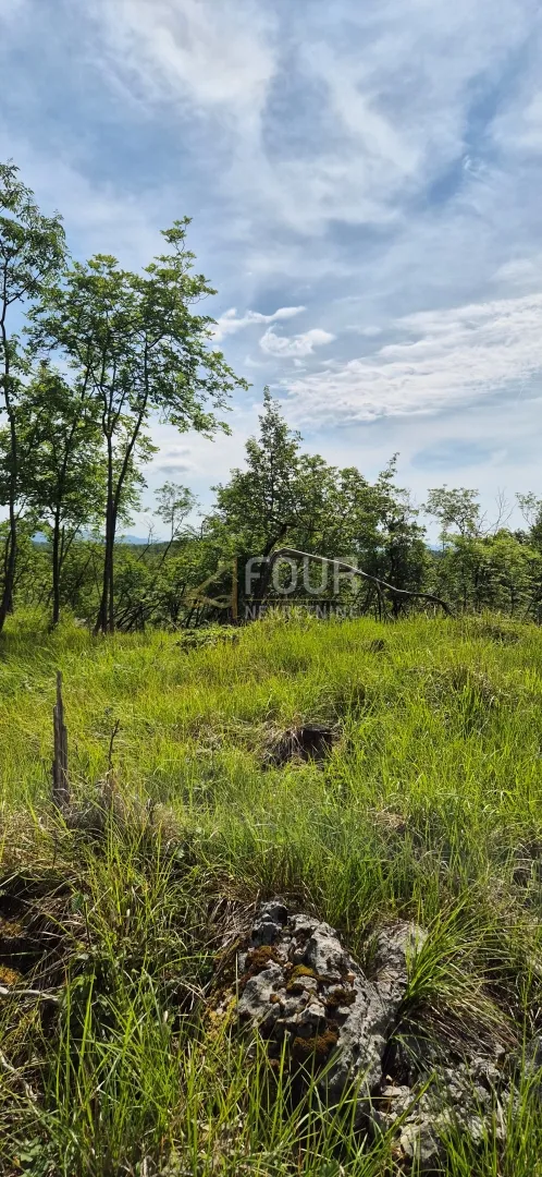 klana, breza, građevinsko zemljište od 2.536m2 - slika 2