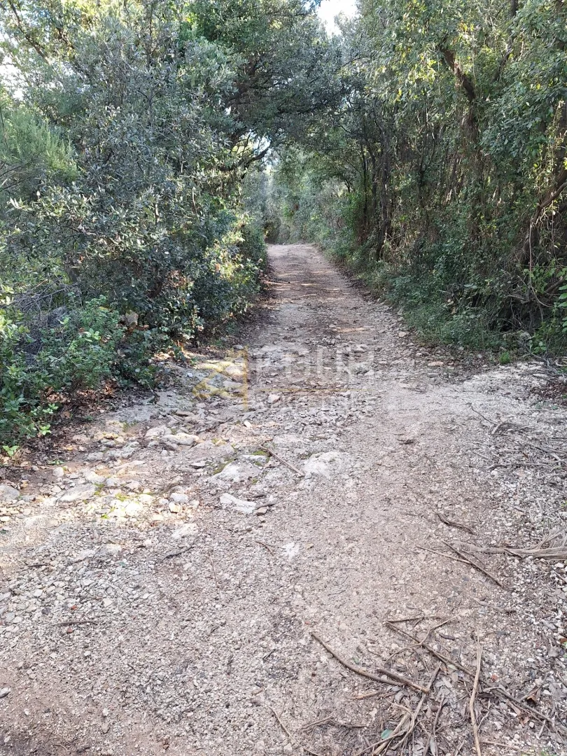 istra, kavran, poljoprivredno zemljište - slika 3