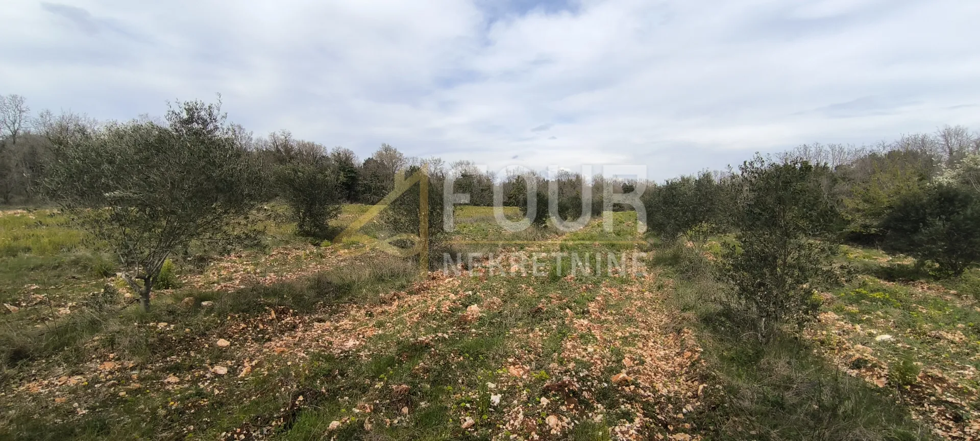istra, marčana, poljoprivredno zemljište 7517m2 - slika 4