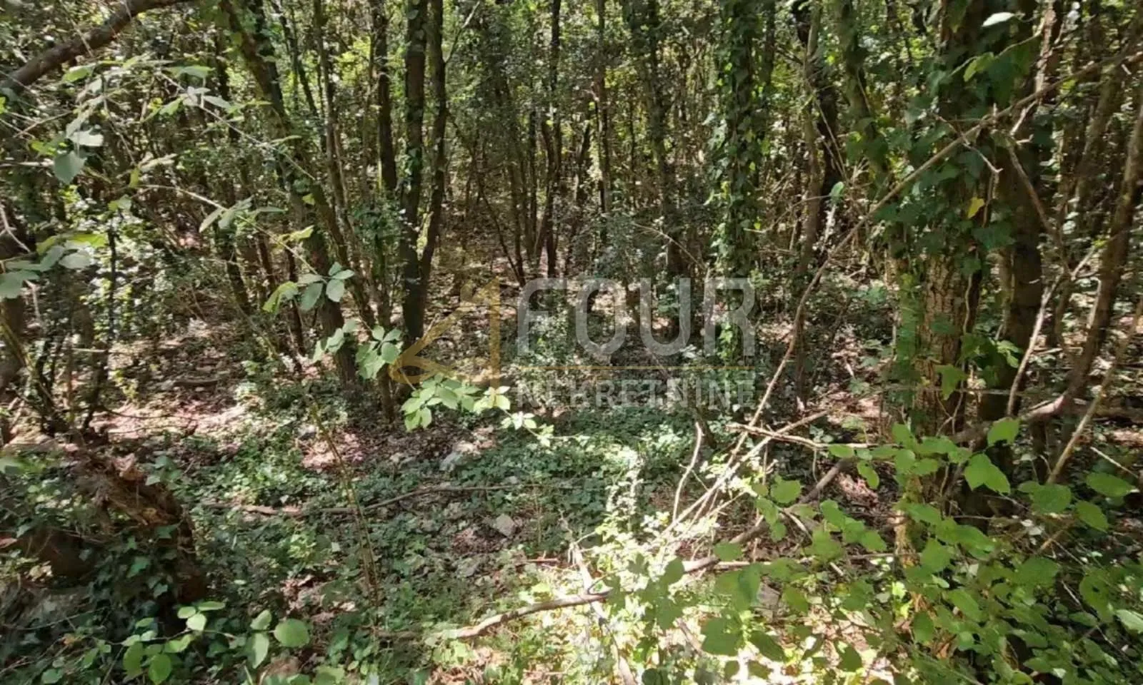 istra, marčana - okolica, poljoprivredno zemljište - slika 2