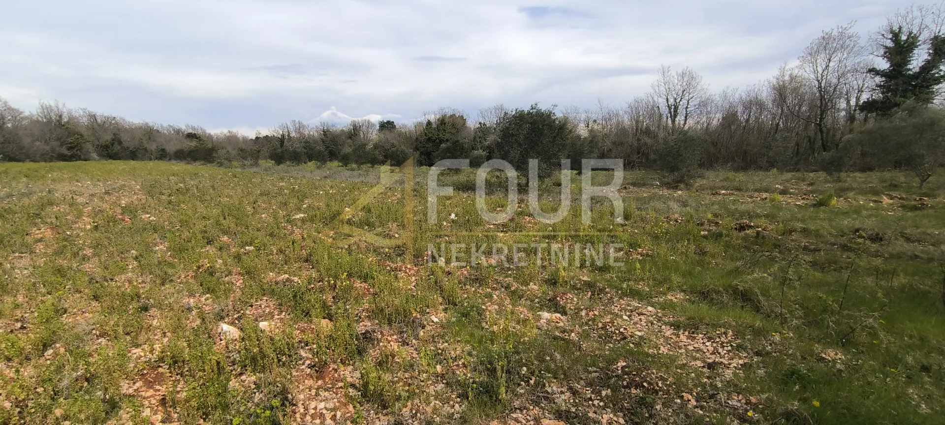 istra, marčana, poljoprivredno zemljište 7517m2 - slika 2