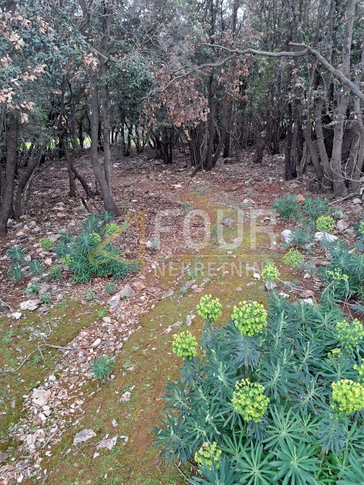 punta križa, poljoprivredno zemljište 7232m2 - slika 3