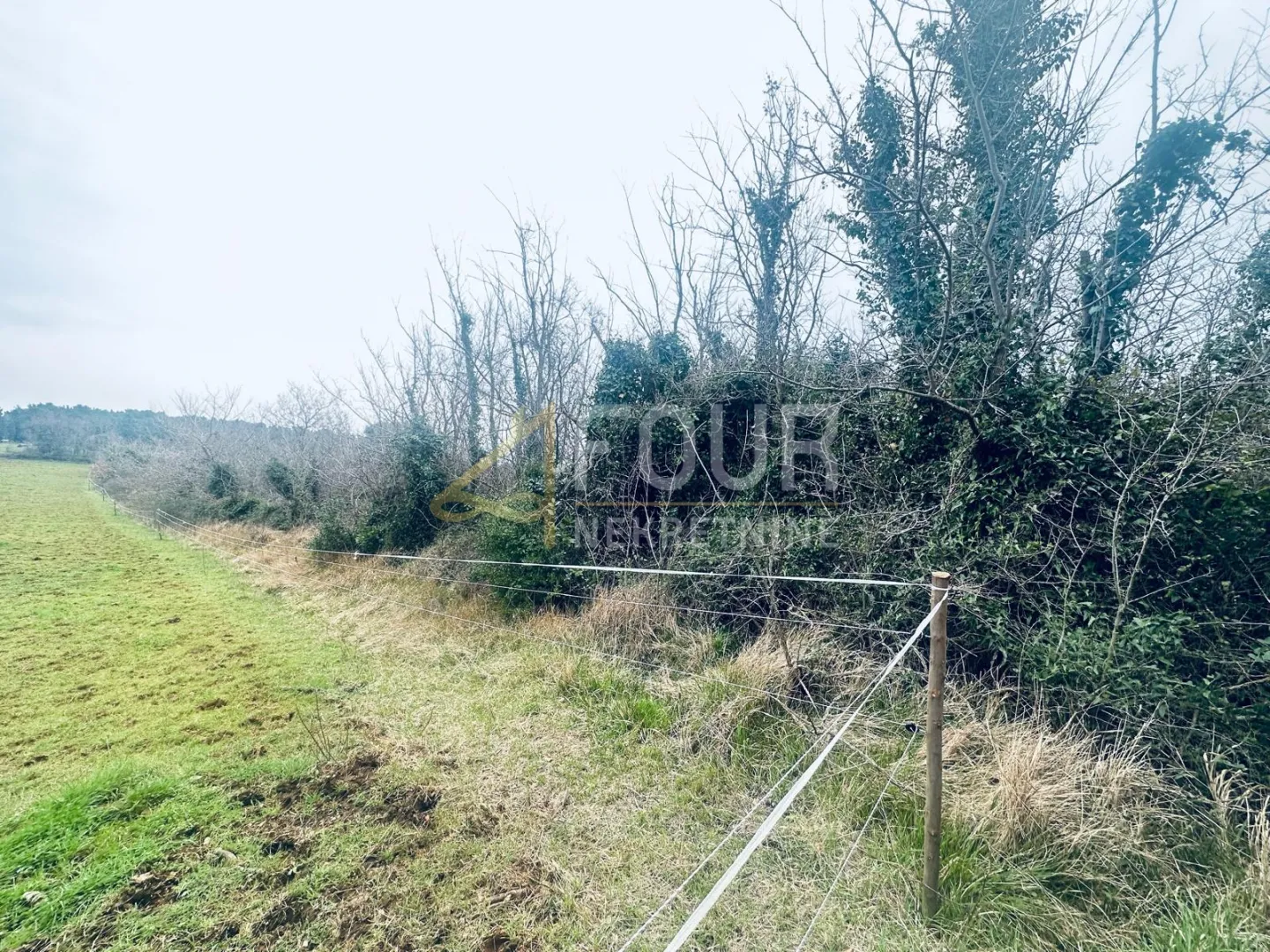 istra, ližnjan, poljoprivredno zemljište, 1.899m2 - slika 2