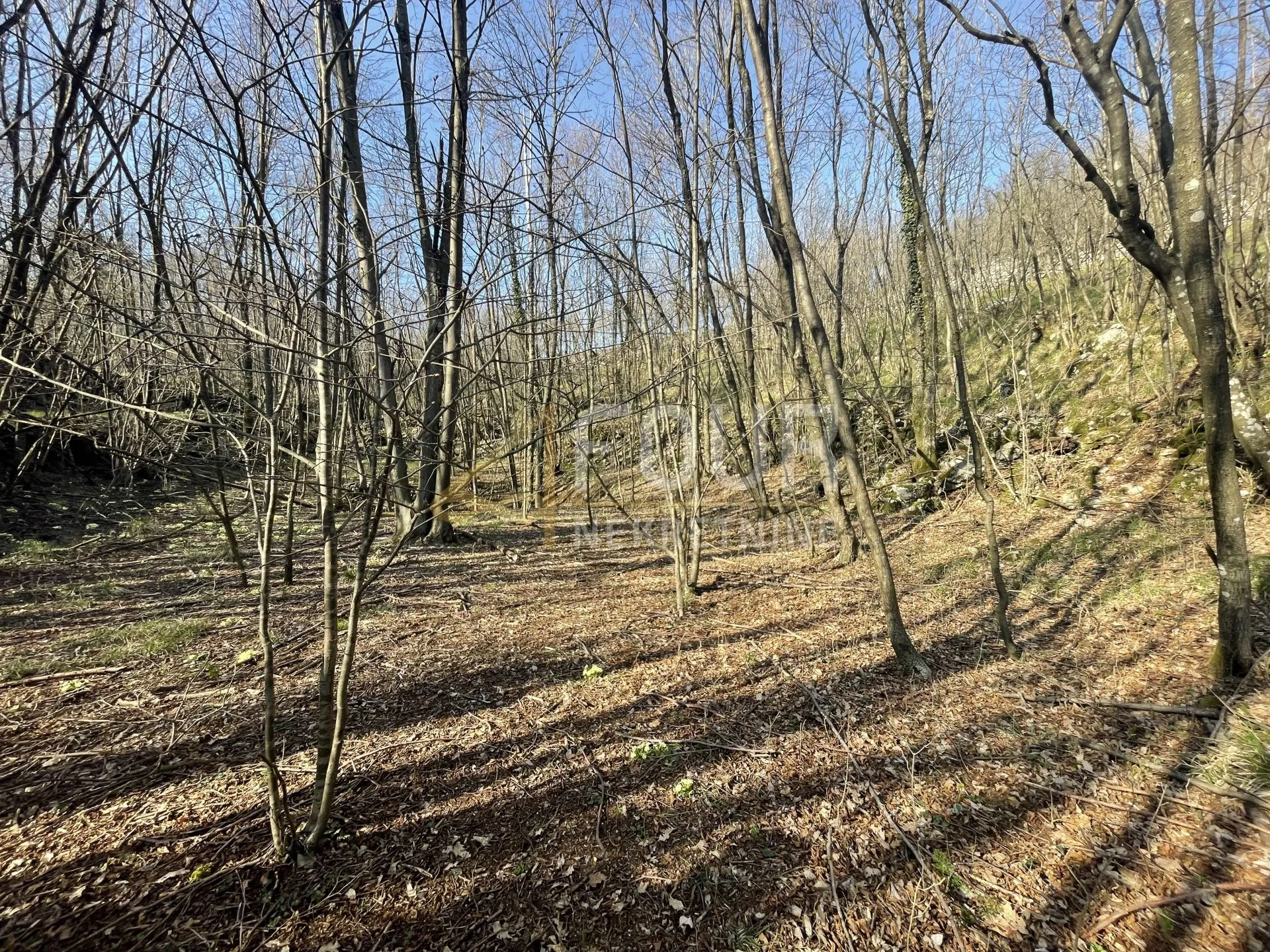 Viškovo, Saršoni, poljoprivredno zemljište 10.317m2 - Saršoni, Viškovo
