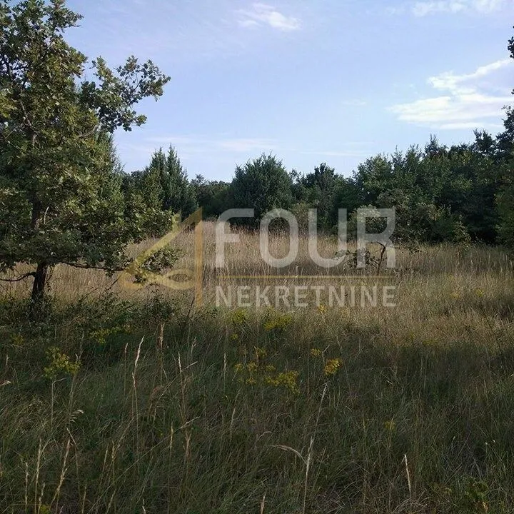 istra, svetvinčenat, poljoprivredno zemljište 2.990m2 - slika 4