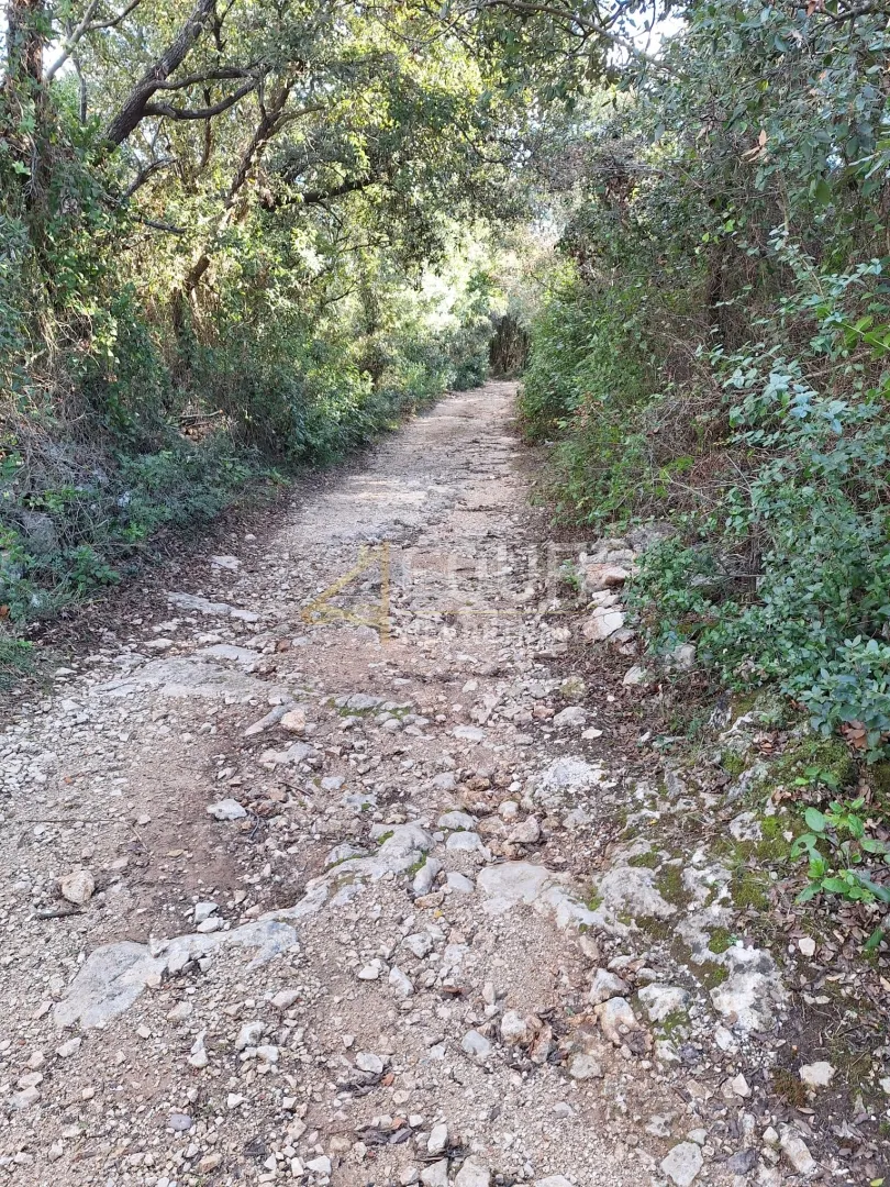 Istra, Kavran, poljoprivredno zemljište - Kavran, Marčana