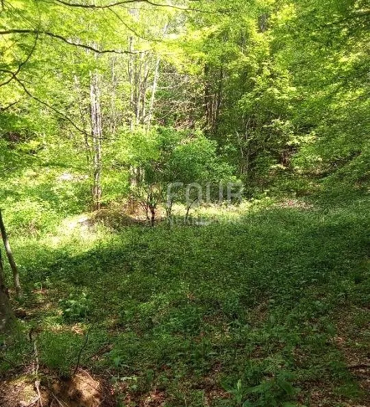Bribir - okolica, poljoprivredno zemljište, 12.599m2 - Bribir, Vinodolska općina