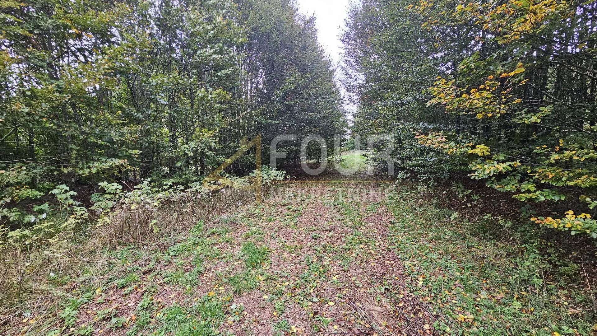 gorski kotar, okolica fužina, građevinsko zemljište, 4.762m2 - slika 7