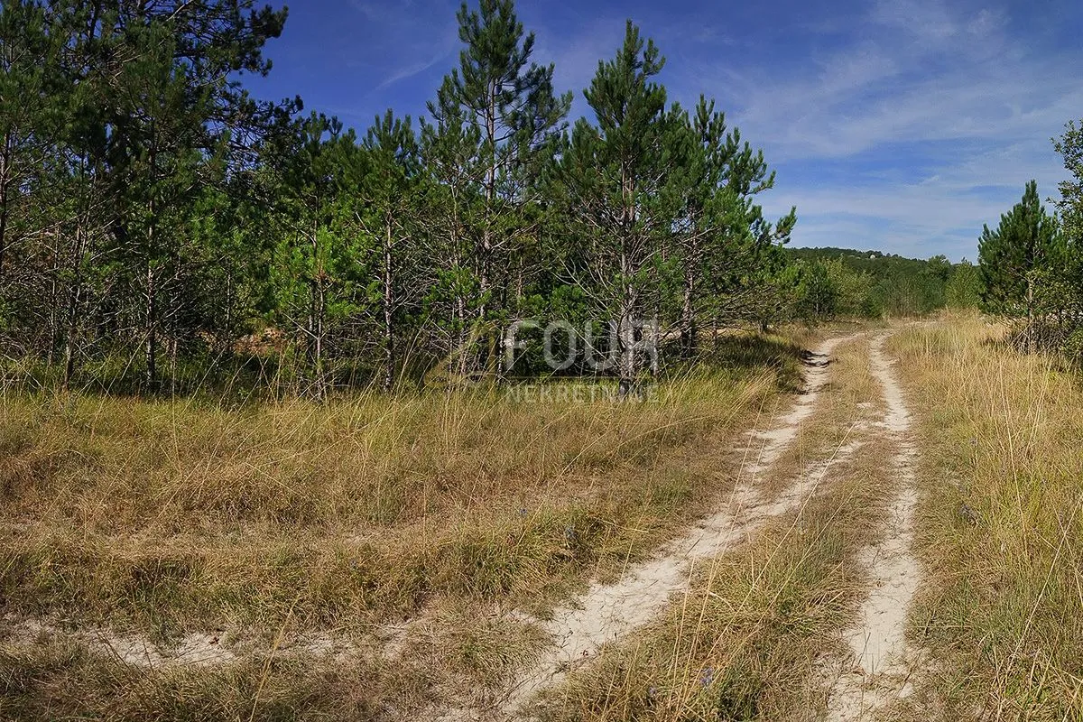 istra, kršan, zemljište 10.091m2 - slika 3