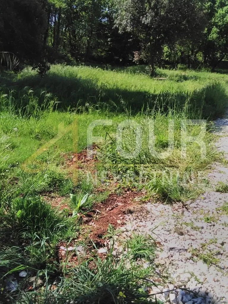 istra, medulin, poljoprivredno zemljište 1.655m2 - slika 2