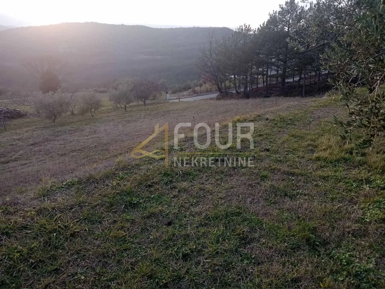 istra, buzet - okolica, građevinsko zemljište 2.744m2 - slika 4