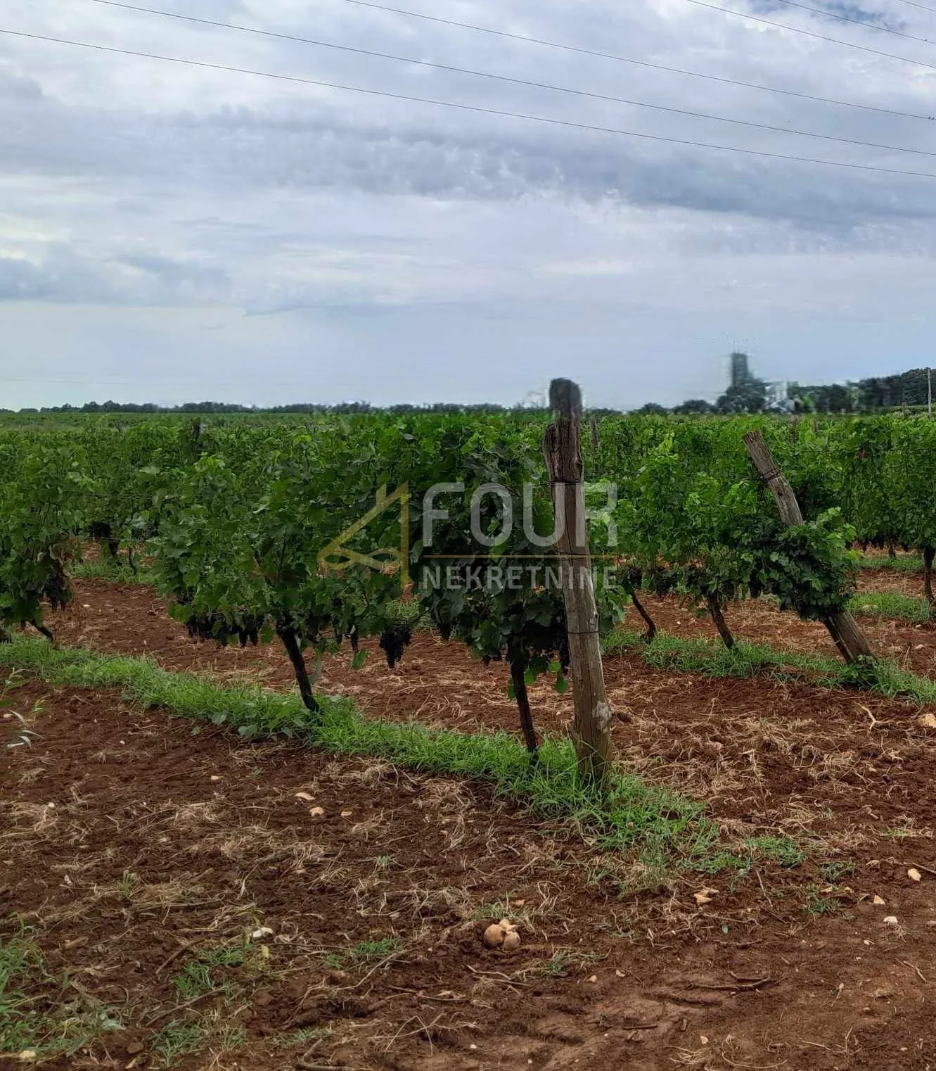istra, poreč - okolica, poljoprivredno zemljište 26.600m2 - slika 2