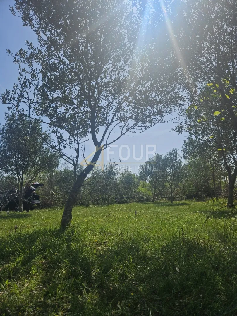 otok krk, dobrinj, poljoprivredno zemljište 2230m2 - slika 6