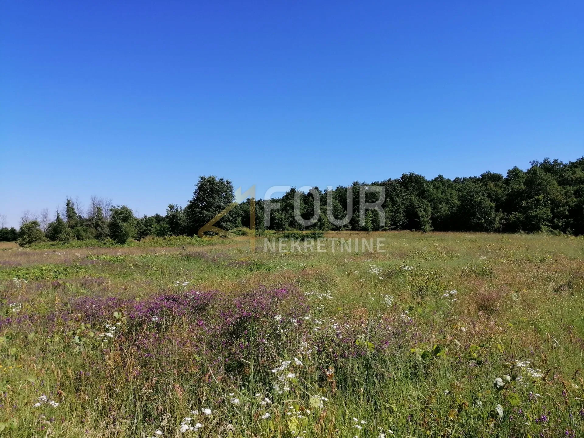 istra, sveti lovreč, poljoprivredno zemljište 658m2 - slika 3