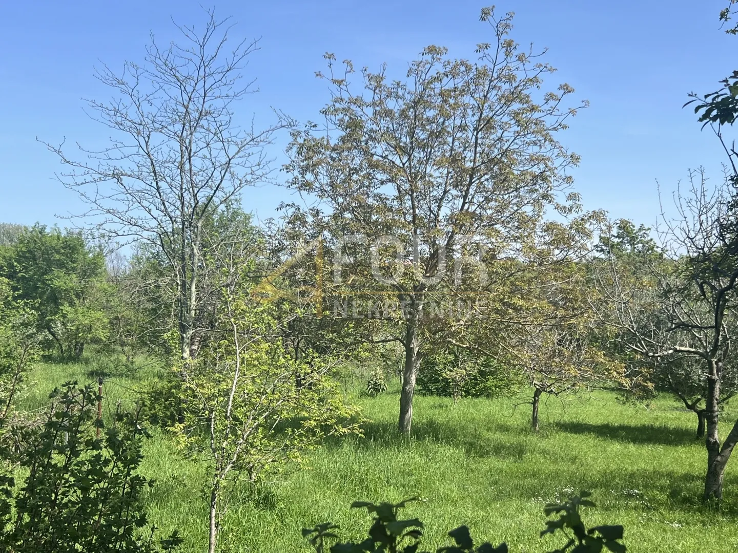 istra, ližnjan - okolica, poljoprivredno zemljište, 820m2 - slika 2