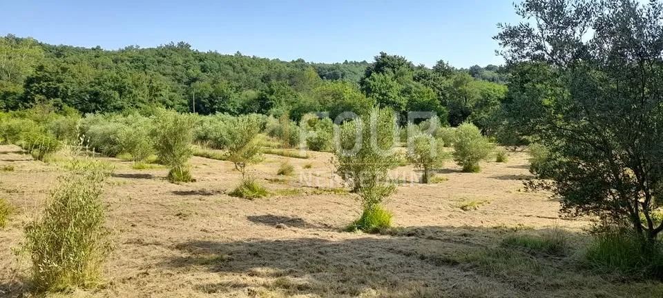 istra, labin, imanje - starina i velika okućnica - slika 2