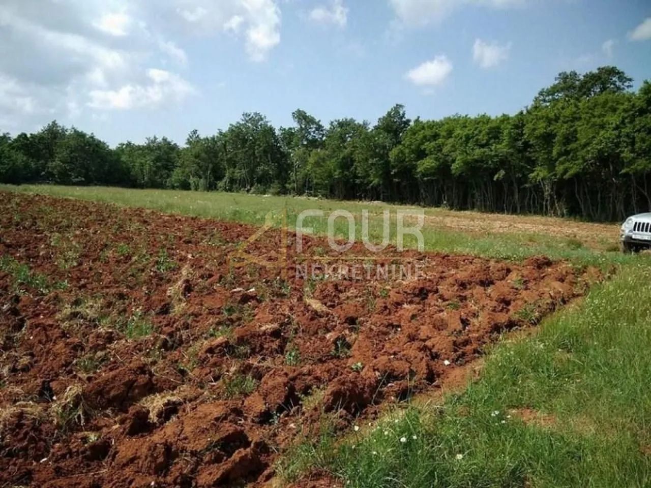 istra, svetvinčenat, poljoprivredno zemljište 8.700m2 - slika 7