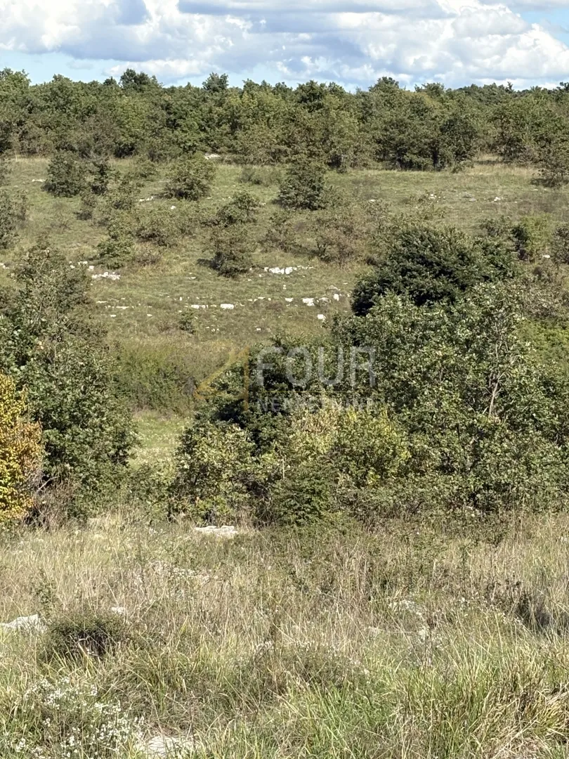 istra, svetvinčenat - okolica, poljoprivredno zemljište 2.913m2 - slika 2