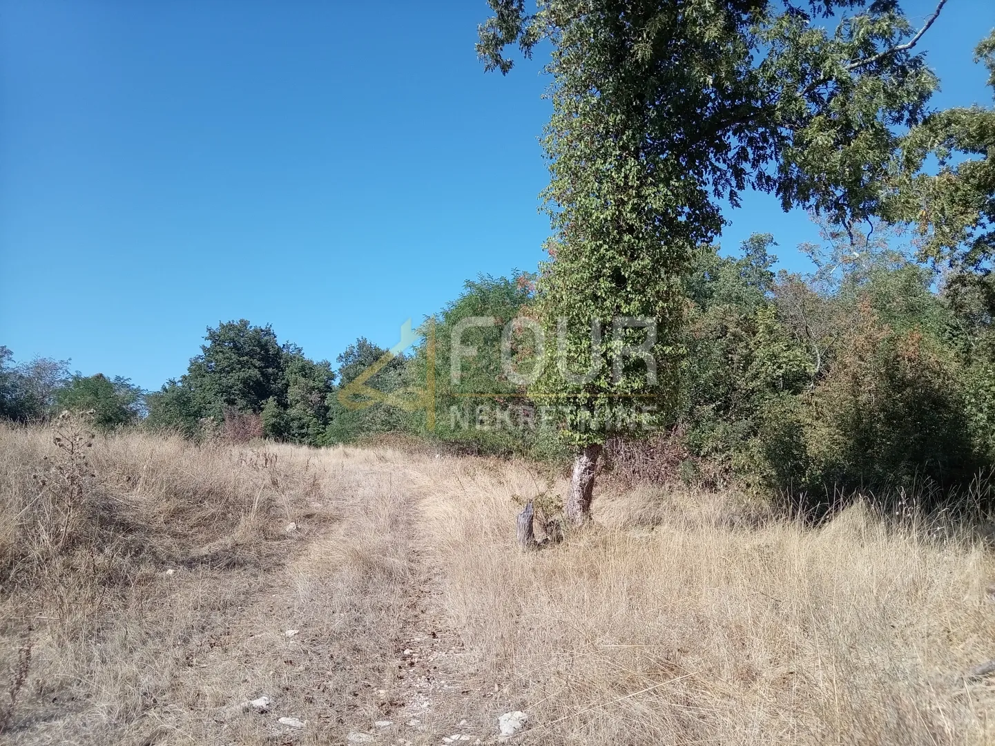 Istra, Brtonigla, zemljište 5.027m2