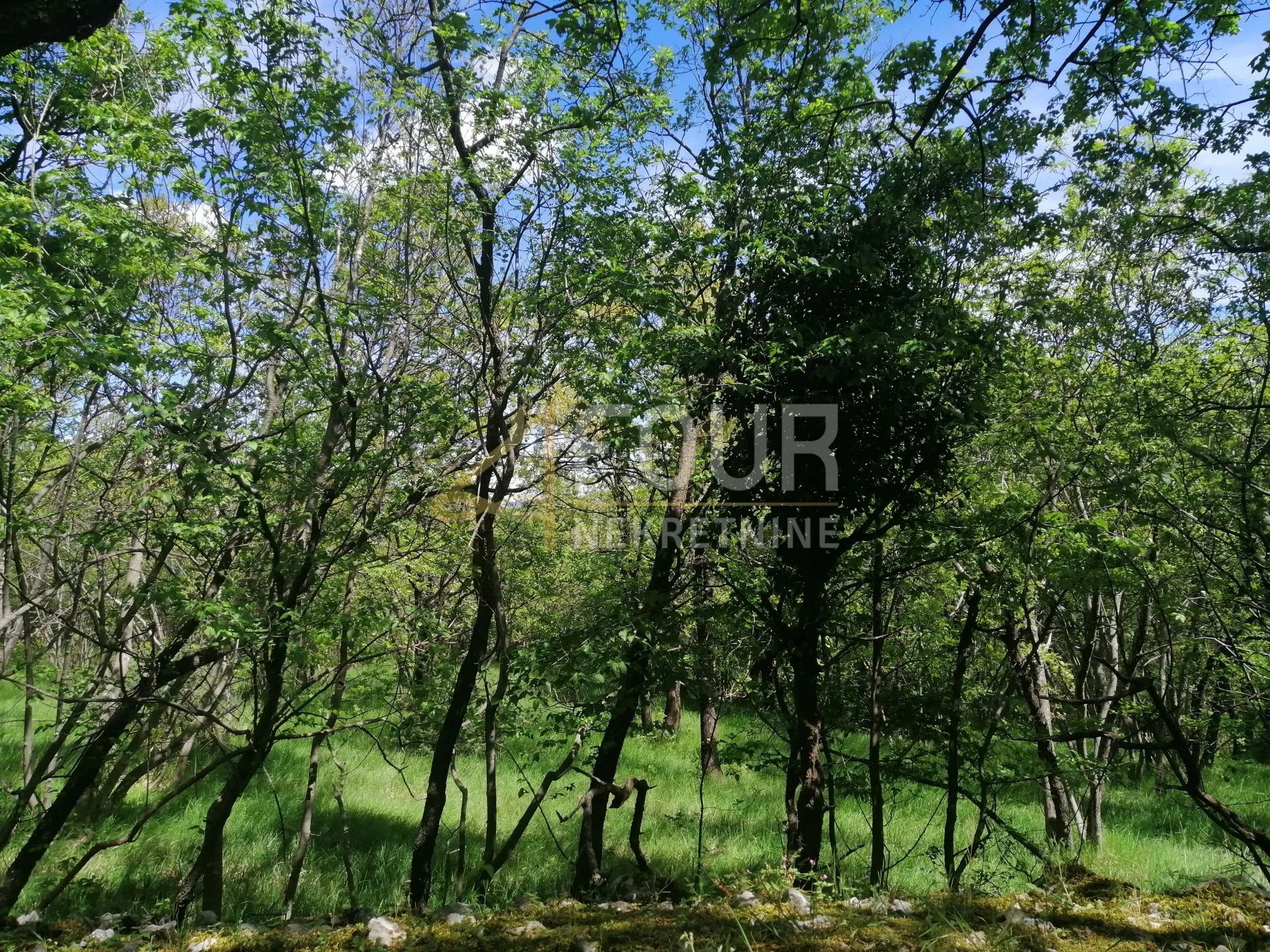 škrljevo, zemljište 9.925m2 - slika 8