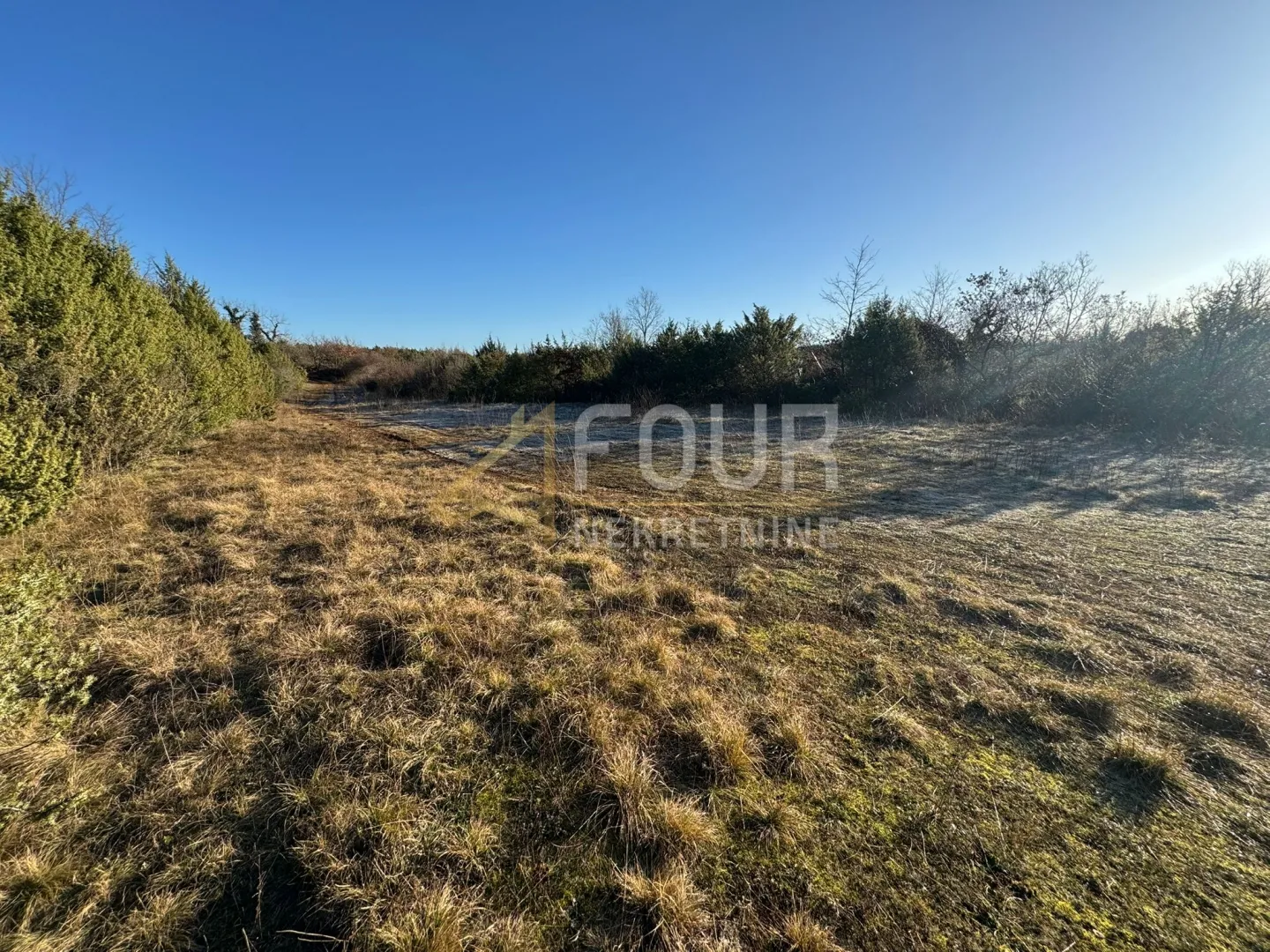 istra, vodnjan, poljoprivredno zemljište, 4.263m2 - slika 4