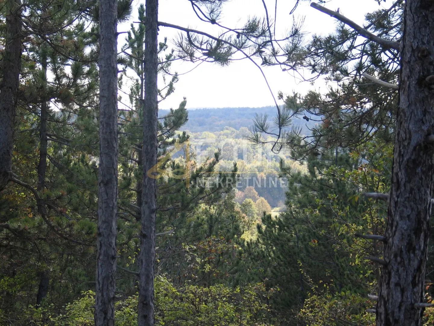 istra, gračišće, lindar, građevinsko/poljoprivredno zemljište, 39.091m2 - slika 7