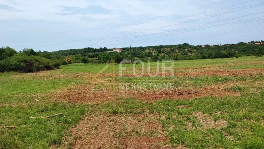 istra, buje, poljoprivredno zemljište 47.888m2 - slika 3