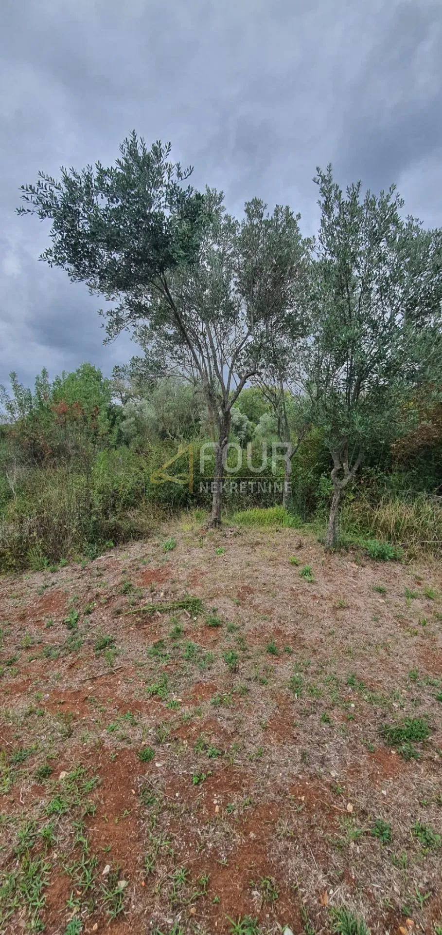 istra, rovinj, poljoprivredno zemljište 1.574m2 - slika 2