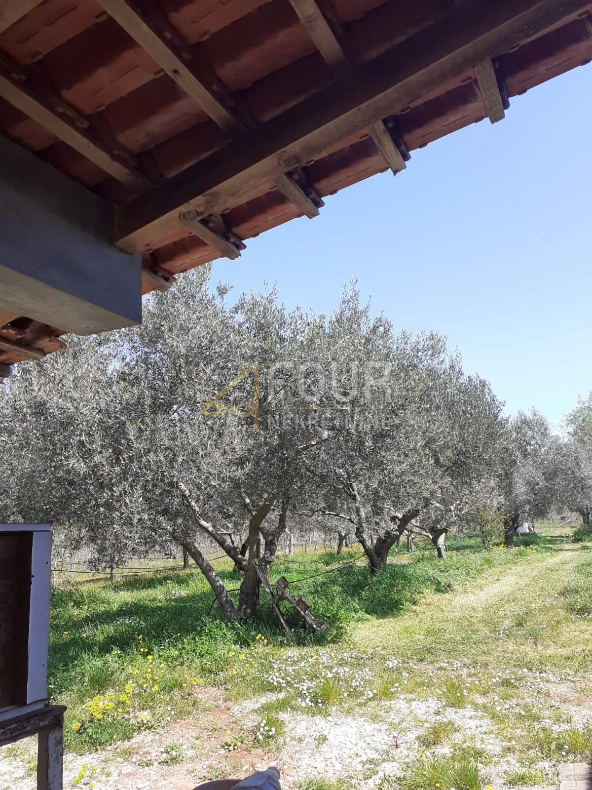 istra, rovinj-okolica, poljoprivredno zemljište 4.471m2 - slika 4