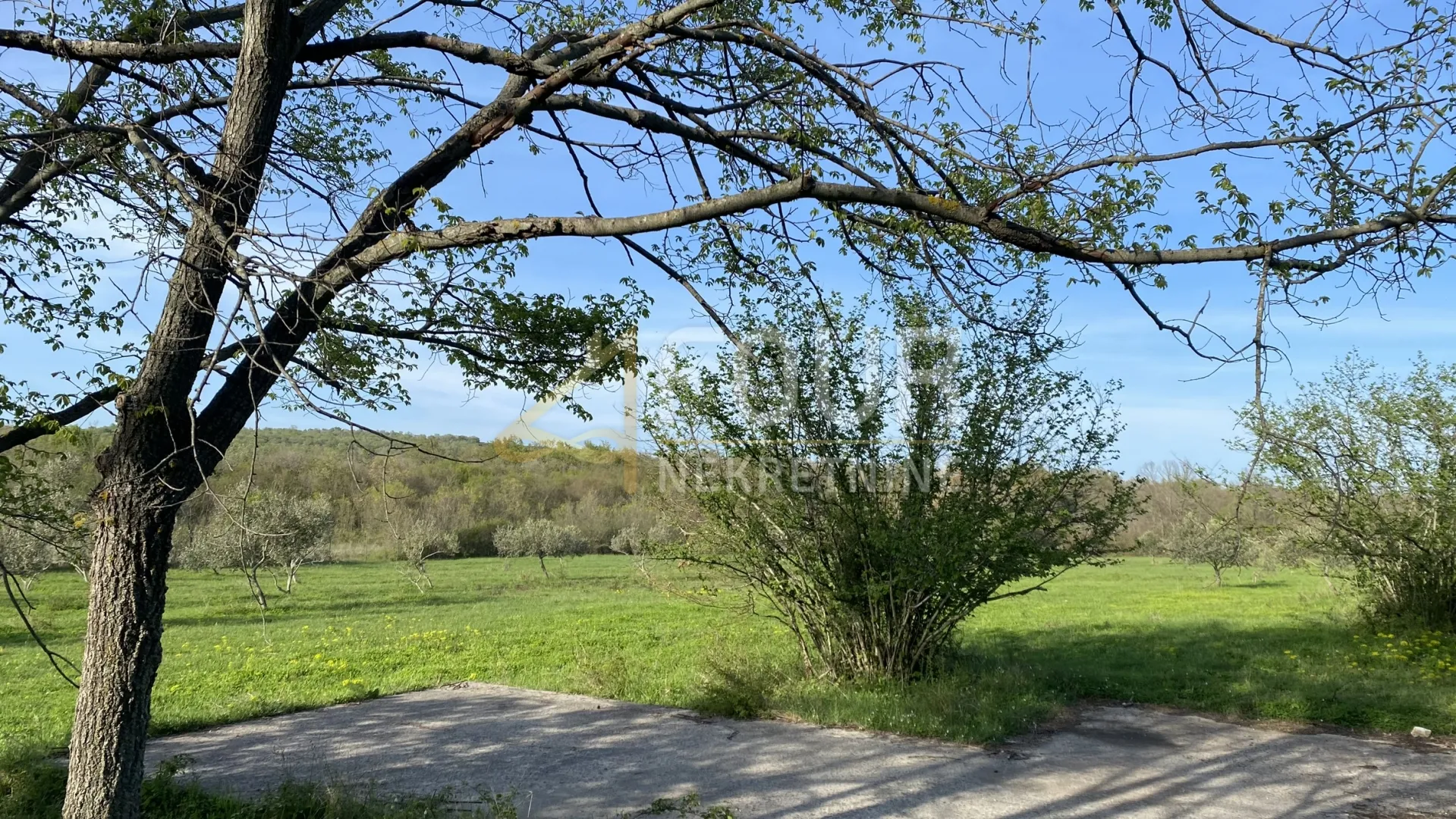 istra, kanfanar, poljoprivredno zemljište, 13.301m2 - slika 14