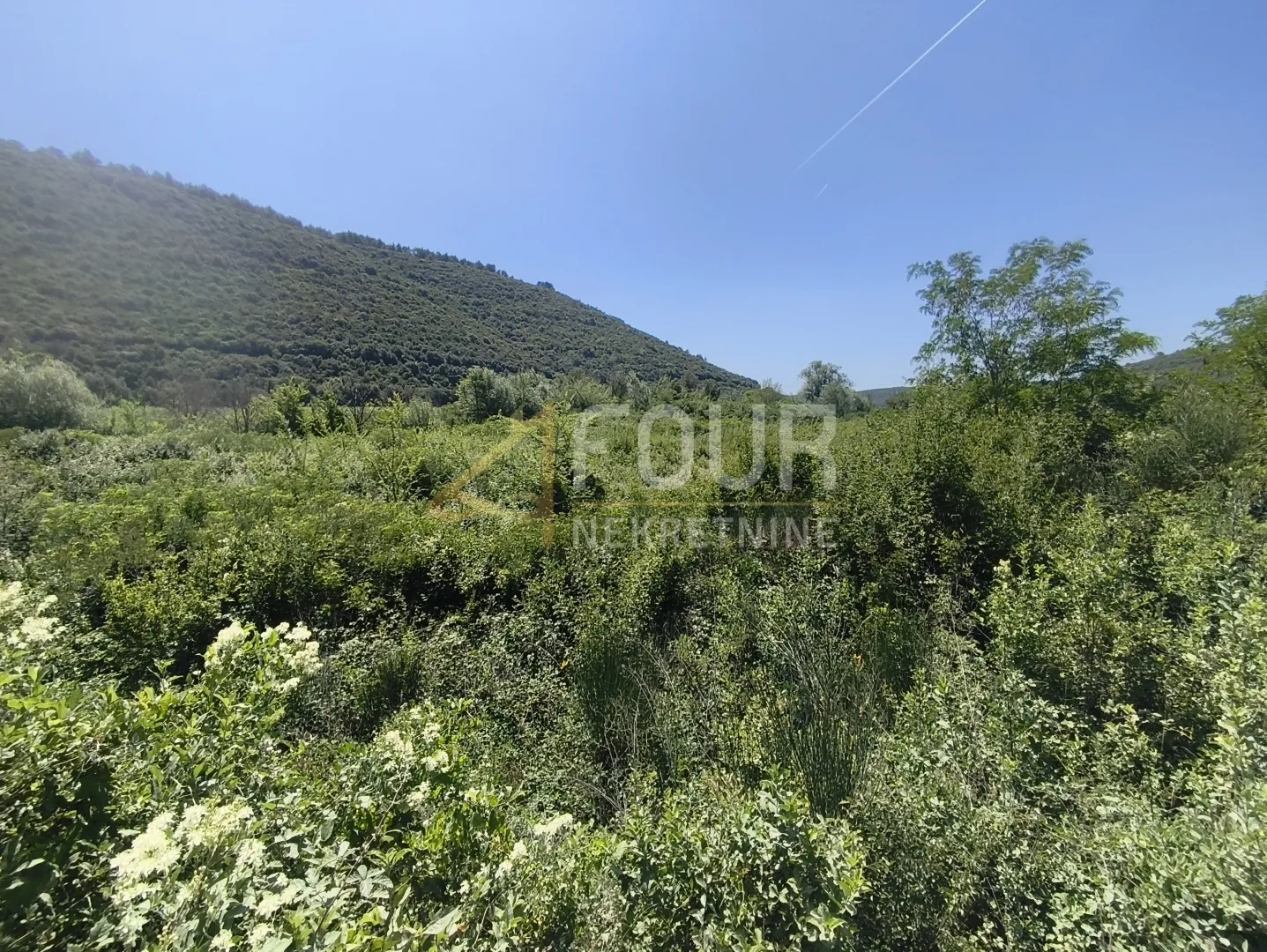 istra, valtura, poljoprivredno zemljište 14500m2 - slika 6