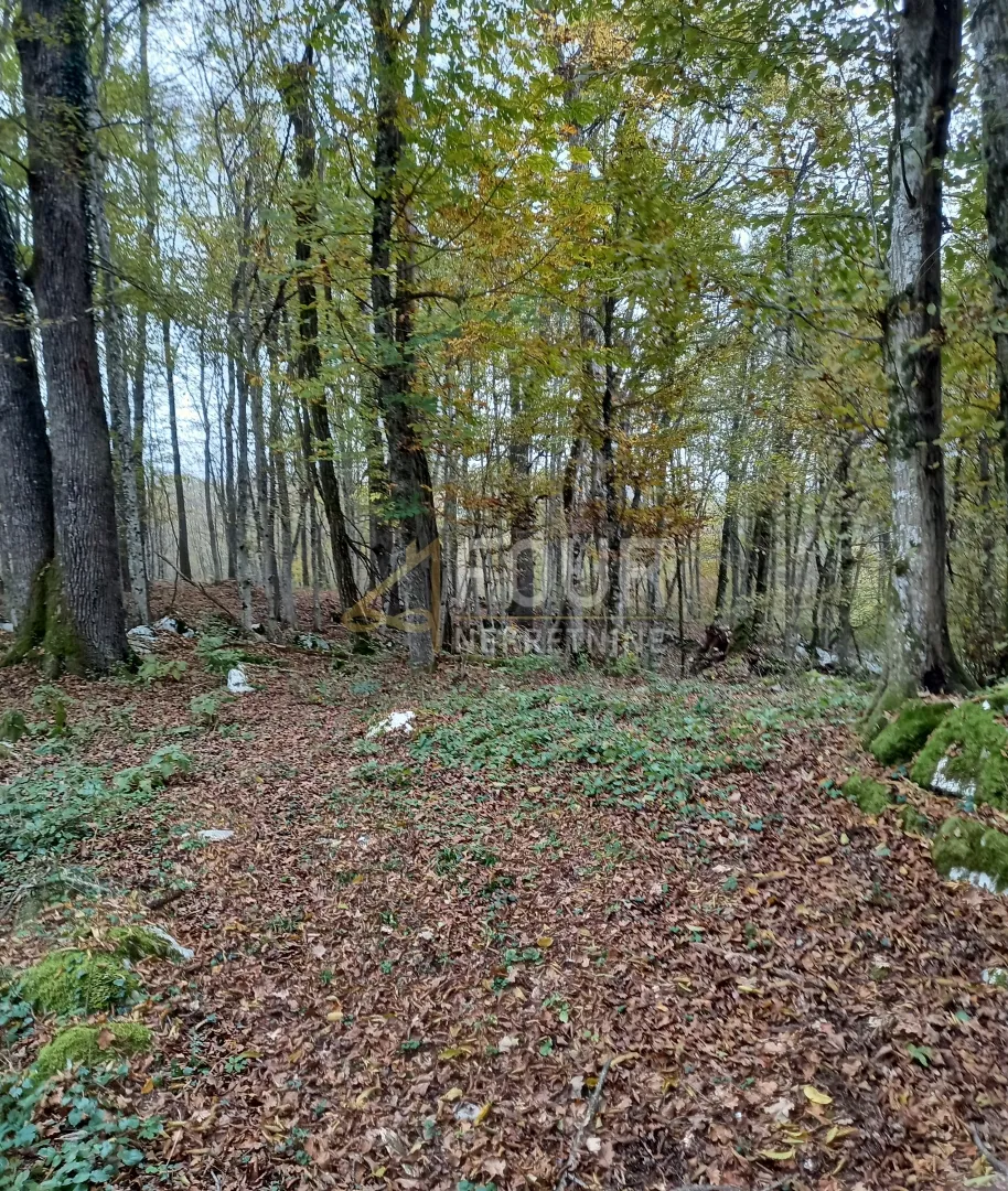 bosiljevo, zemljište površine 100.581m2, gospodarska zgrada - slika 4