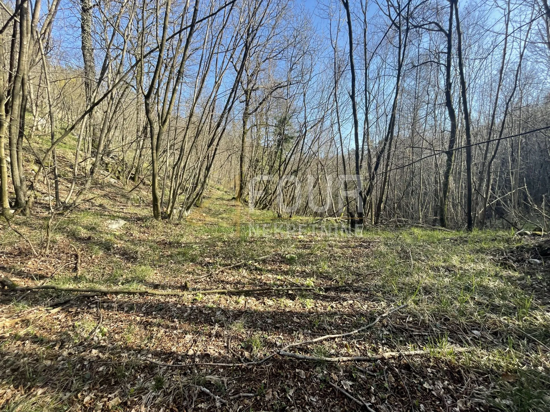 viškovo, saršoni, poljoprivredno zemljište 10.317m2 - slika 2