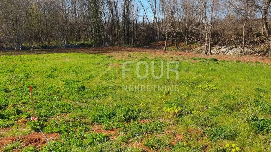 Istra, Vodnjan, poljoprivredno zemljište 4.385m2