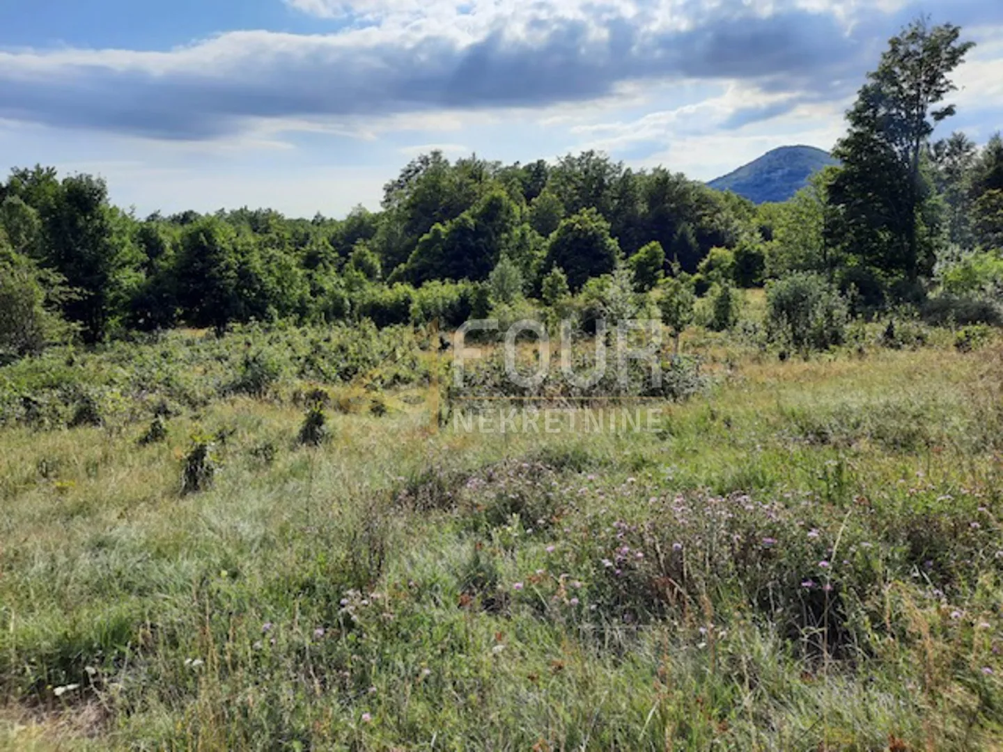 gorski kotar, lič, poljoprivredno zemljište, 9.794m2 - slika 4